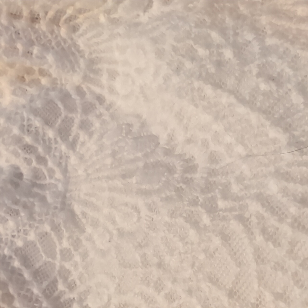 J Crew White Lace Skirt - Picture 5 of 5